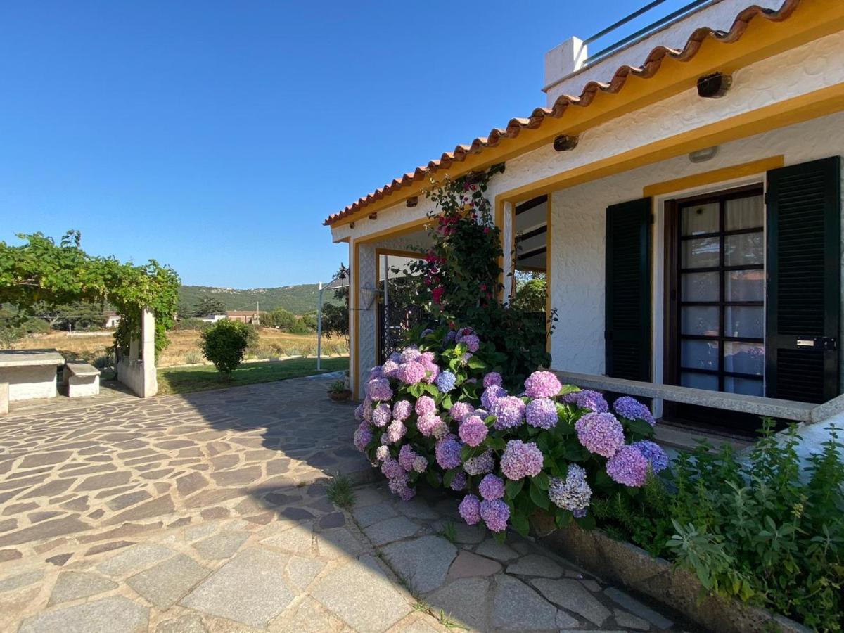 Casa Di Campagna In Gallura Luogosanto Dış mekan fotoğraf
